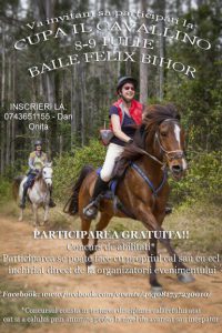 afis cupa il cavalino