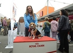 Dog Fest royalcanin.ro