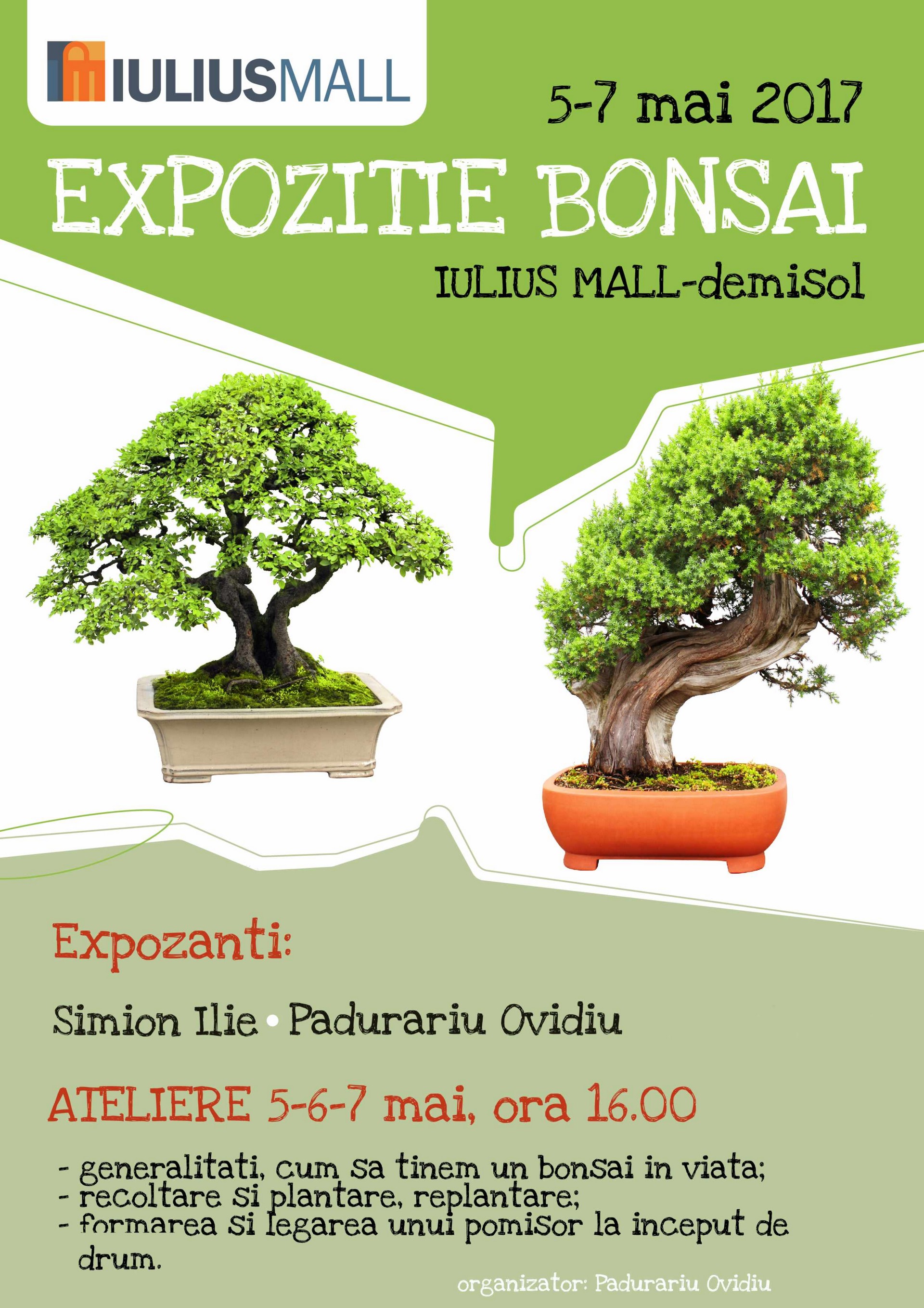 afis-bonsai-01-01