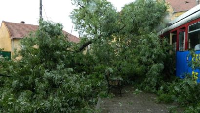 O furtună a făcut ravagii în doar câteva zeci de minute, în Arad