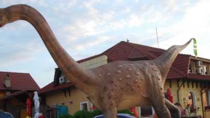 Magyarosaurus dacus, readus în Țara Hațegului