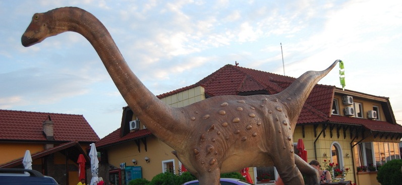 Magyarosaurus dacus, readus în Țara Hațegului