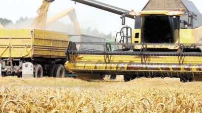 Un fond de investiţii german vrea terenuri agricole de 32 miloane euro în Banat