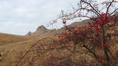 Destinaţia zilei: Munţii Măcin, aurul tulcenilor