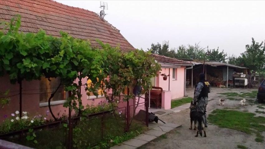 Percheziţii în Timiş! Tineri suspectaţi de furturi din ferme şi violenţe FOTO