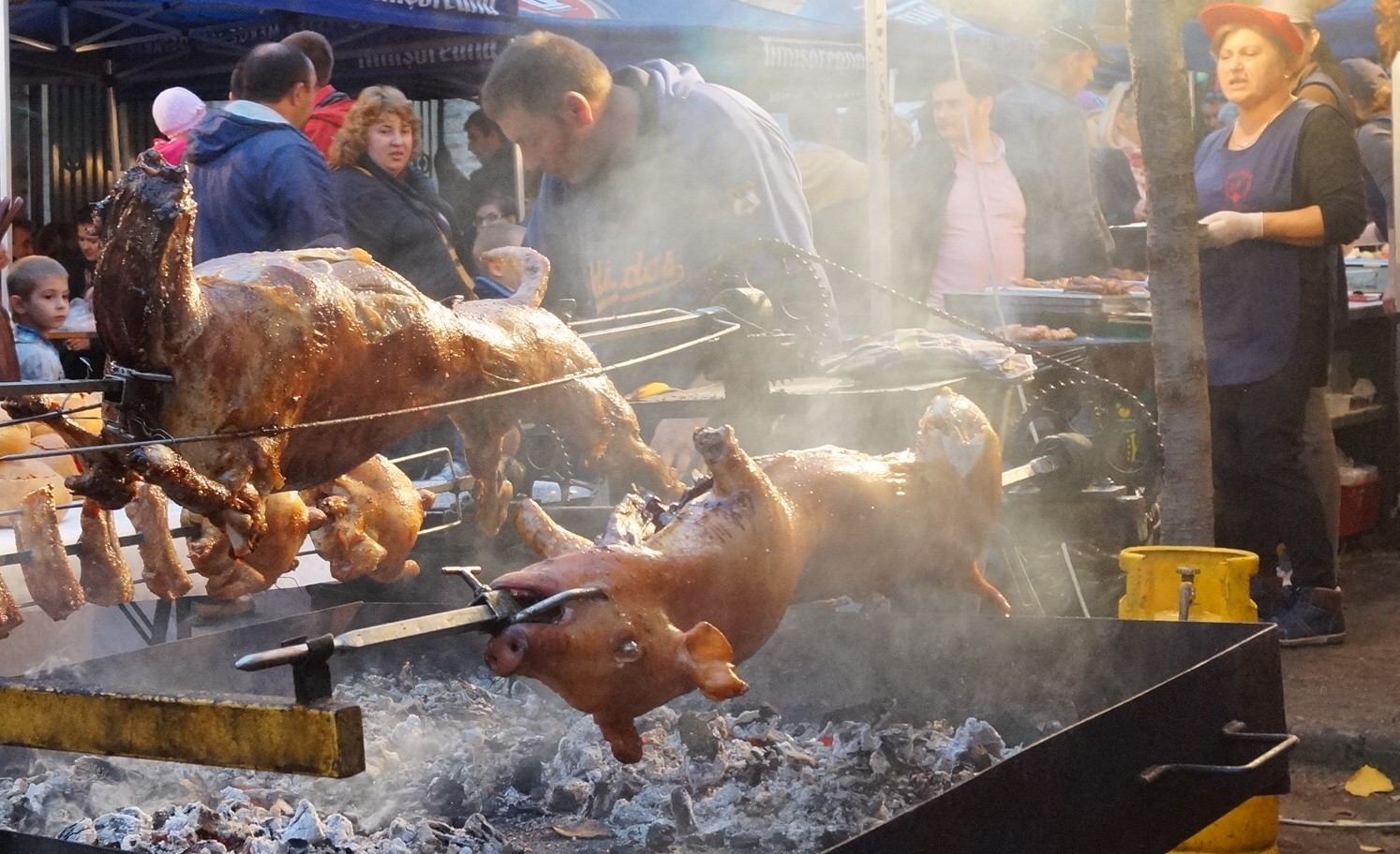 Festivalul Vinului de la Timişoara, pentru prima dată în Parcul Rozelor