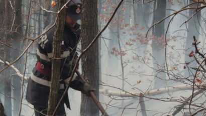 Incendiu într-o pădure de mesteacăn şi pin din Masivul Şureanu