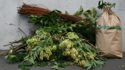 Frühjahrsputz in Temeswar im März