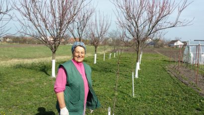 FOTO / AUDIO / Un primar din Timiș oferă localnicilor pomi fructiferi din propriul salariu