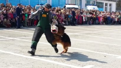 Ziua Poliţiei Române sărbătorită cu demonstraţii de luptă şi dresaj canin la Timişoara