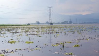 Apa în exces de pe terenurile agricole – în vizor la „Vestul zilei”