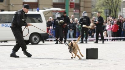 Încep demonstraţiile de luptă, dresaj canin şi tehnică de specialitate cu ocazia Zilei Poliţiei Române