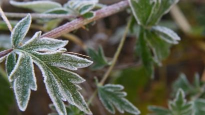 Avertizare de vreme rece în toată țara. Noaptea, bruma și temperaturi aproape de pragul de îngheț