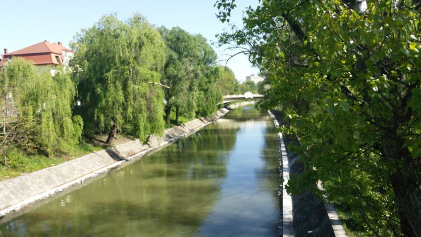 Poliția Locală Timișoara va avea o secție navală