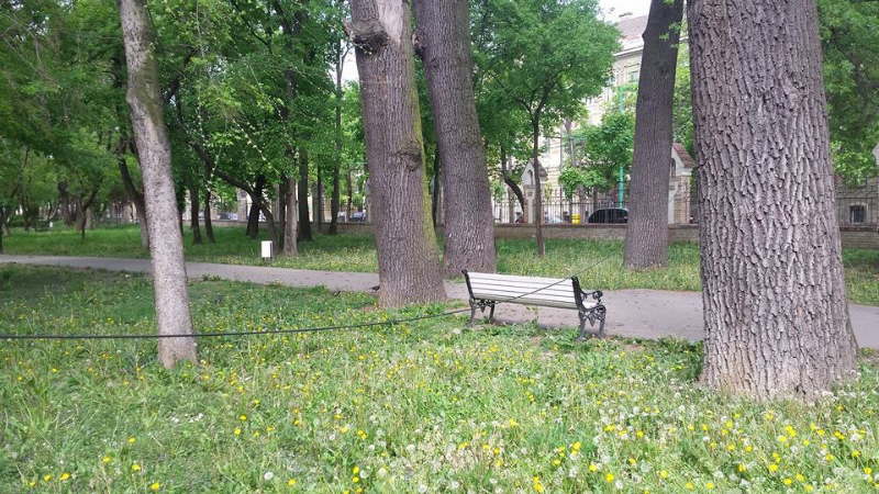 FOTO / Un cablu blochează aleea principală din Parcul Poporului din Timișoara