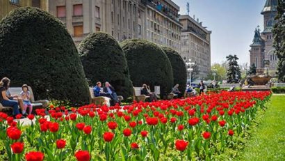 Vreme frumoasă în Banat