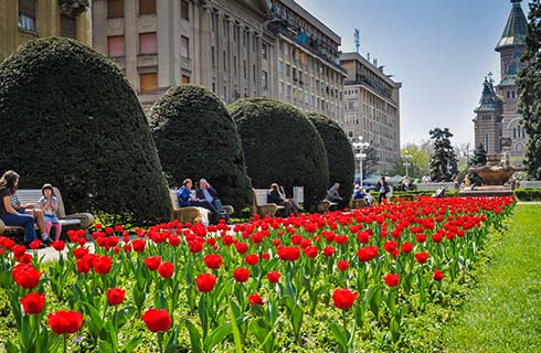 Vreme frumoasă în Banat