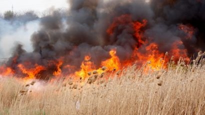 Tot mai multe incendii de vegetație uscată, în Timiș