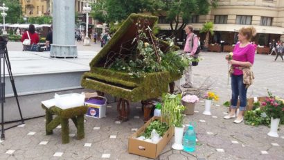 FOTO / Timișoara, orașul florilor. Ce spun oamenii despre festivalul Timfloralis?