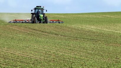 Culturile agricole au scăpat de inundaţii în Caraş-Severin?