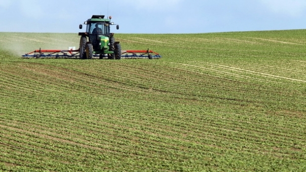 Culturile agricole au scăpat de inundaţii în Caraş-Severin?