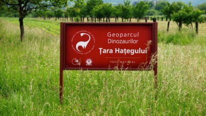 Geoparcul Dinozaurilor Ţara Haţegului este sit UNESCO