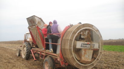 Ministrul Agriculturii: Fermierii îşi vor primi integral subvenţia pe suprafaţă cel mai probabil la sfârşitul lunii ianuarie