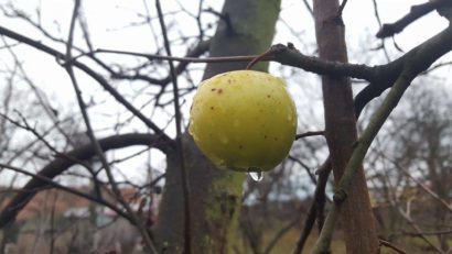 Vreme normală termic, dar închisă, în vestul țării