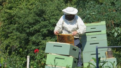 Sute de apicultori hunedoreni solicită interzicerea pesticidelor periculoase. Neonicotinoidele sunt folosite doar în România și Bulgaria