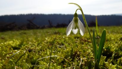 Vreme schimbătoare cu temperaturi maxime de 9 grade