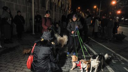 FOTO / Timișorenii au ieșit la plimbare cu cățeii în semn de protest față de eutanasierea animalelor fără stăpân