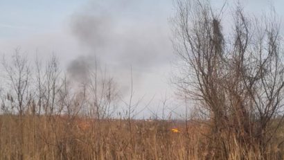 Panică în cartierul Plopi din cauza unui incendiu de vegetație uscată