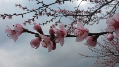 Vreme cu temperaturi normale dar ploioasă, în Banat și Crișana