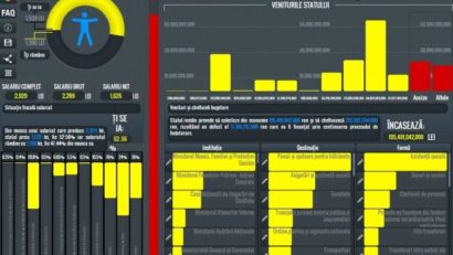 Unde se duc banii pe care îi ia statul. A fost lansată cea mai mare bază de date cu veniturile şi cheltuielile instituţiilor publice