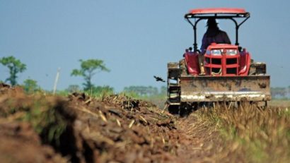 O jumătate de milion de fermieri îşi primesc subvenţiile pentru culturile vegetale