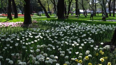 Prognoza meteo pentru ultima săptămână a lunii martie