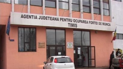 Ocuparea forţei de muncă şi şomajul din jud.Timiş, luni, la „Vestul Zilei”