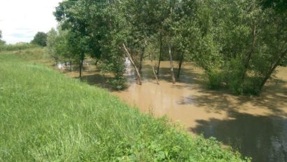 Undă verde pentru reabilitarea digurilor pe Bârzava