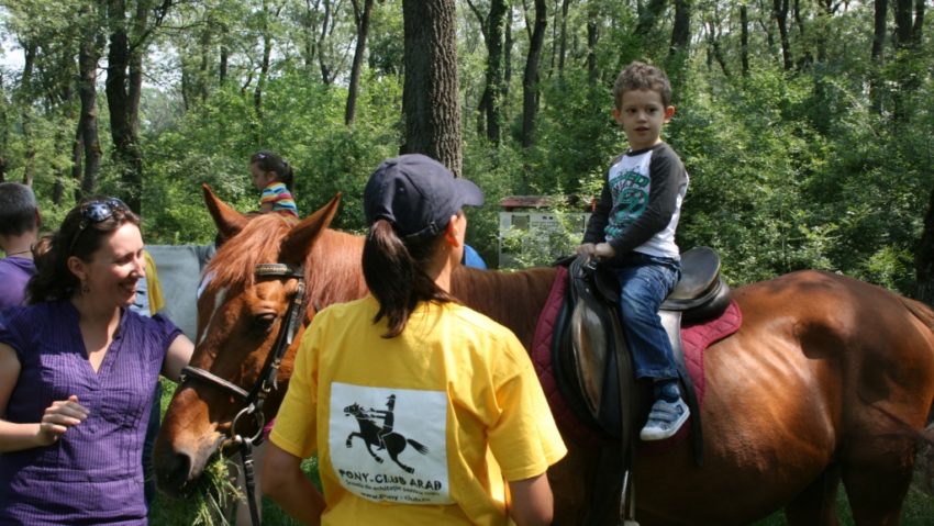 Concursuri și concerte de Ziua Parcului Natural Lunca Mureșului