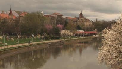 Ambientul parcurilor timişorene, joi, la „Vestul Zilei”