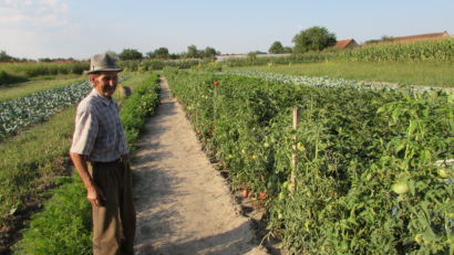 Agricultura, pasiunea care ne menține sănătoși, duminică, la „Diminețile satului”