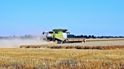 Sprijin financiar pentru fermierii care vor să angajeze tineri în domeniul agricol