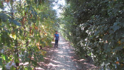 ? Povestea raiului în miniatură de lângă Lugoj, duminică, la “Diminețile satului”