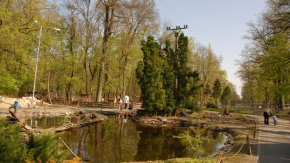 Timișoara va avea o pădure nouă