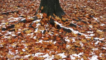 Atenționare meteo: Vânt puternic și precipitații mixte în Banat și Crișana