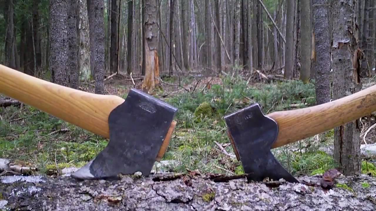 Tăierile de arbori din rezervaţiile Parcului Naţional „Semenic-Cheile Caraşului”, continuă. Cu avizul Administraiei parcului!