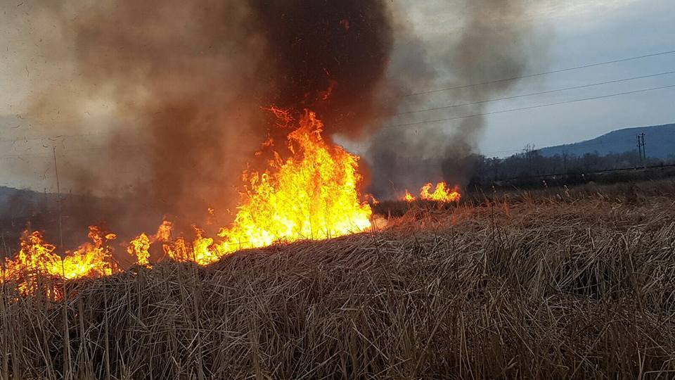 Avertismentul pompierilor: Nu dați foc vegetației uscate când bate vântul!