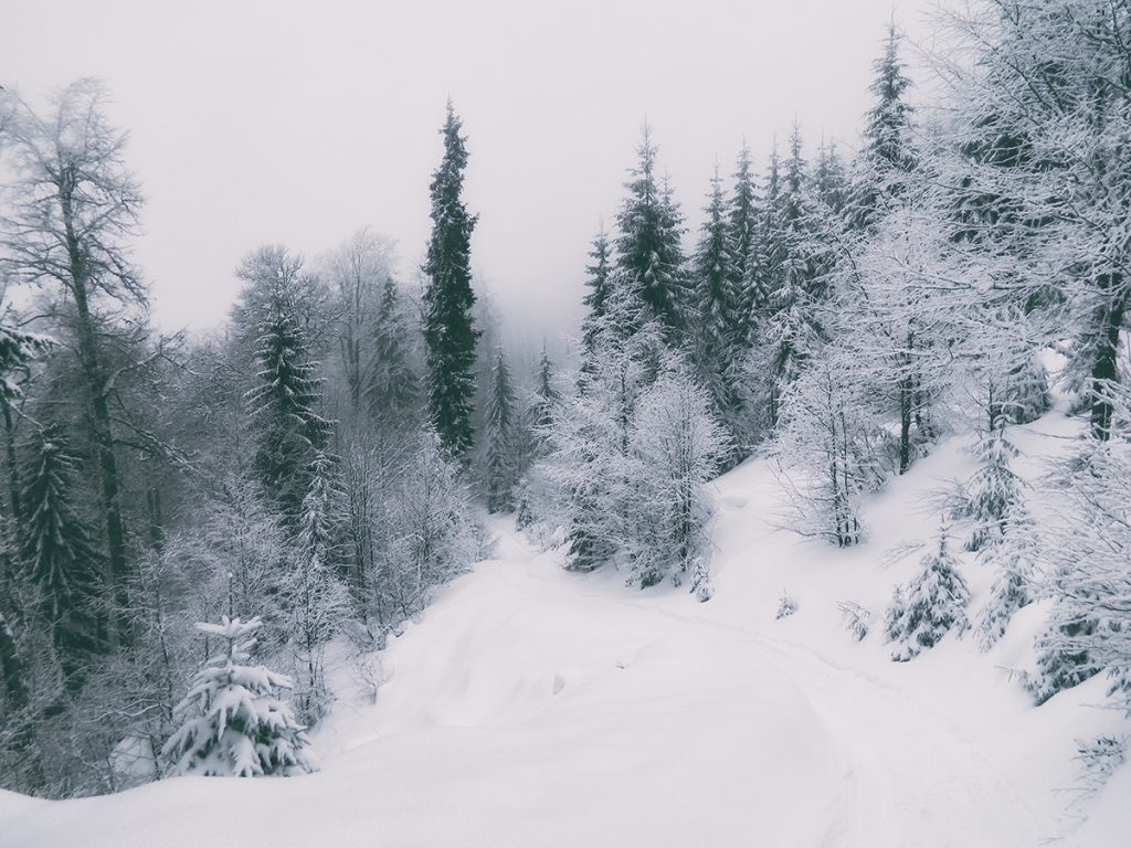 Drumul spre Stâna de Vale a fost închis din cauza vremii nefavorbile