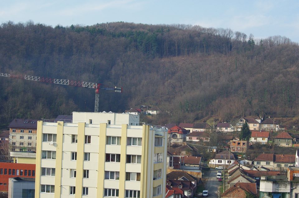 Tăierile de arbori din împrejurimile Reşiţei continuă, cu binecuvântarea autorităţilor!