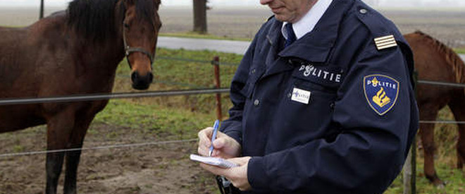 Serviciul „Poliţia Animalelor”, luni 29 mai 2017, la „Vestul Zilei”